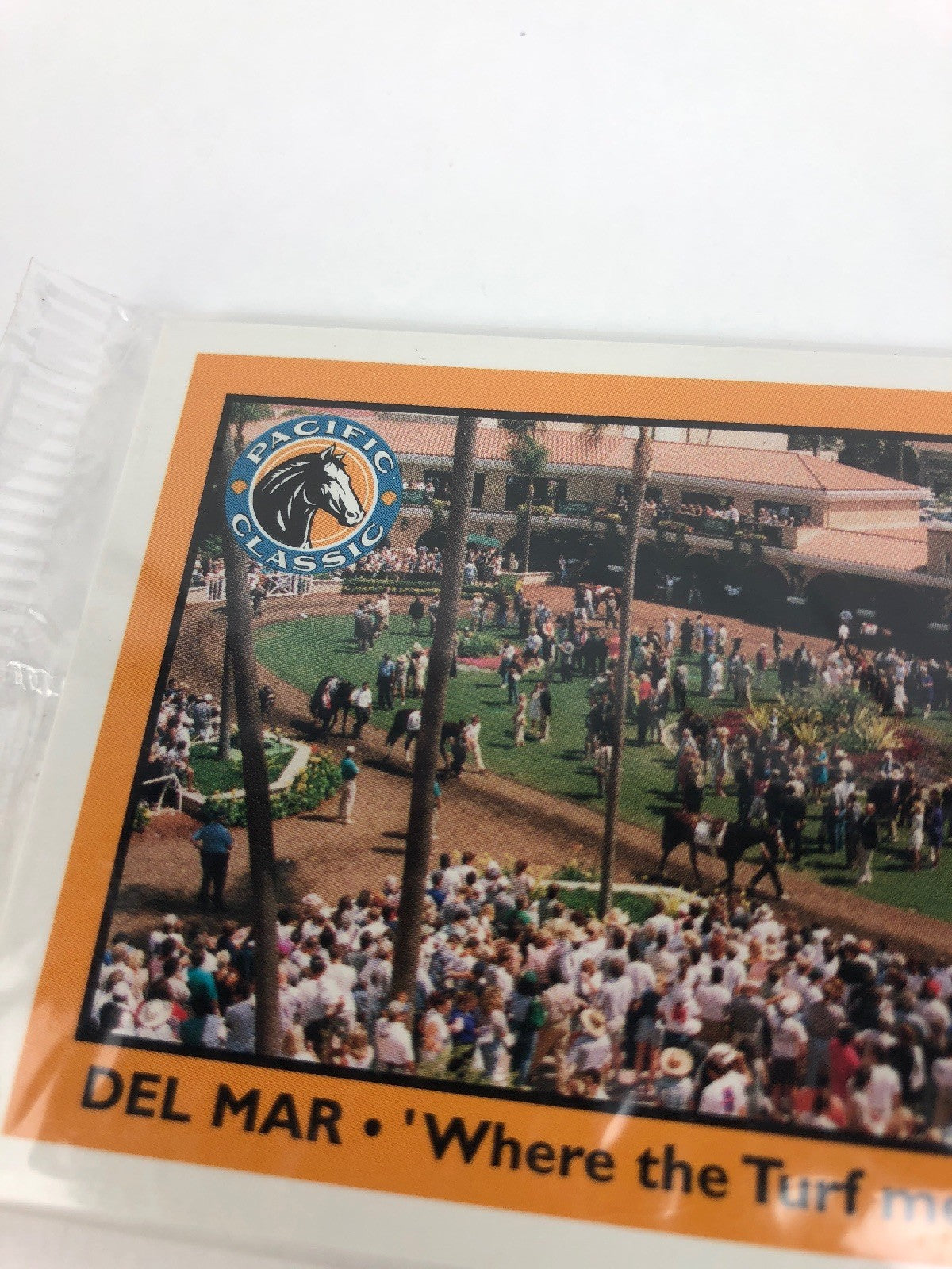 RARE 1998 DEL MAR “ PACIFIC CLASSIC" Horse Star Cards , Fast Shipping!
