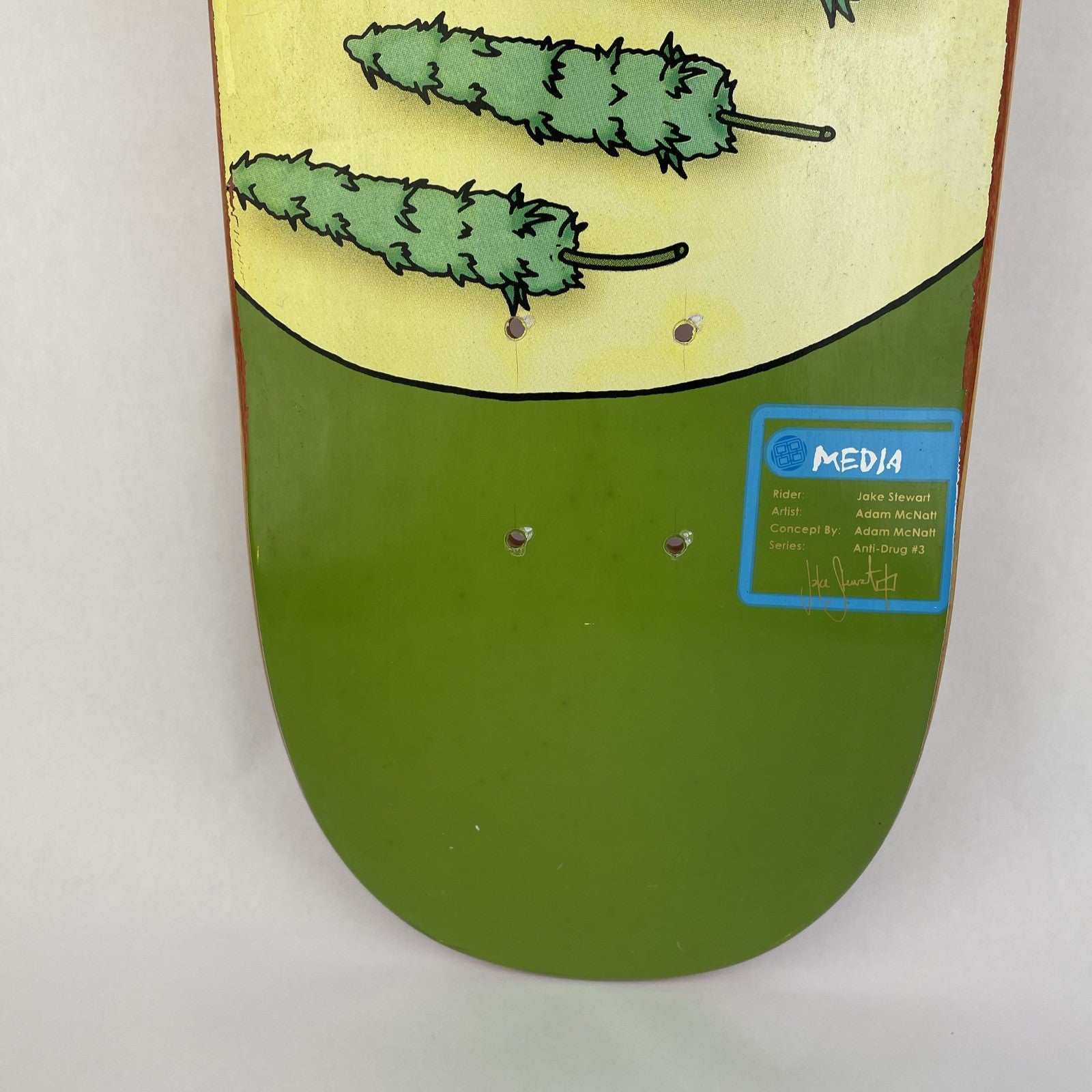 Media Skateboards Skateboard Deck Jake Stewart Golden Crypt Adam Mcnatt Artwork