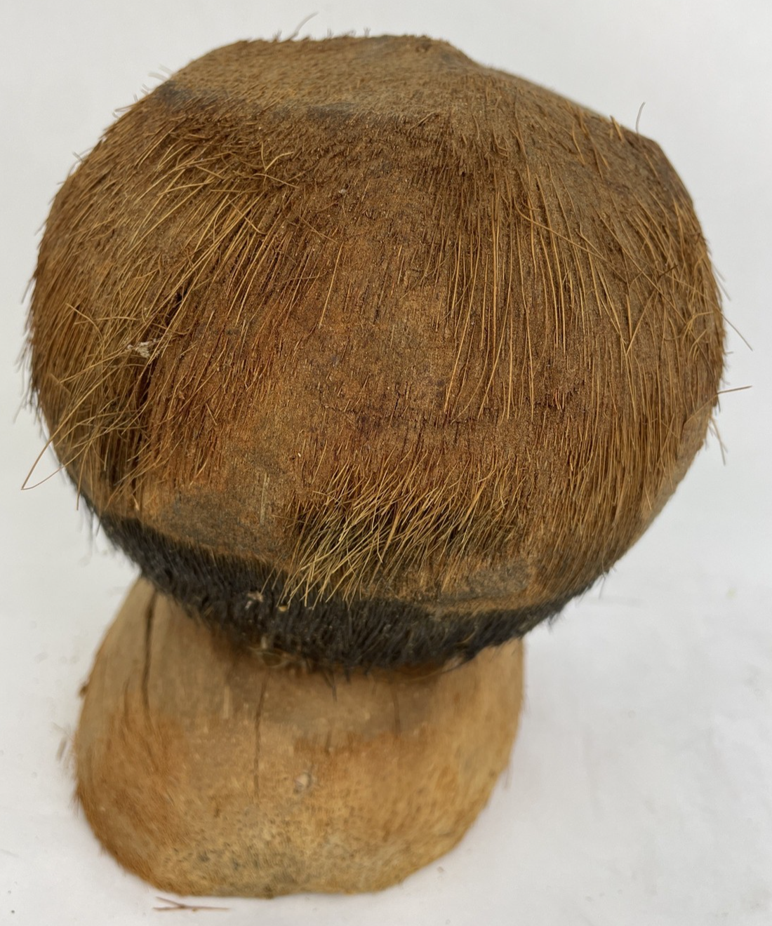 Coconut Carved Hand Made Tribal Native Head Decor Google Eyes Very Creepy