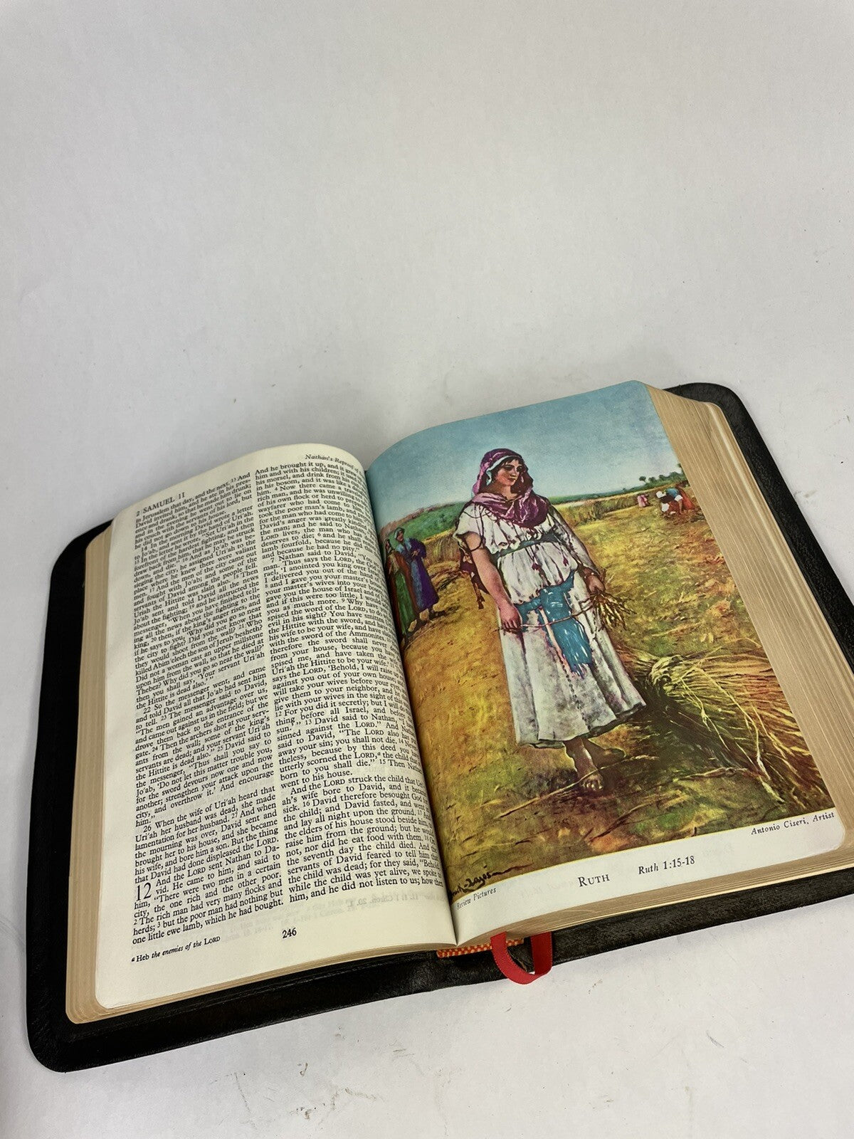 VTG 1952 HOLY BIBLE Revised Standard Edition Thomas Nelson And Sons softcover