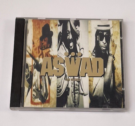 Aswad Too Wicked Digital Audio CD Album 1990 Island Records Mint Disc - #45
