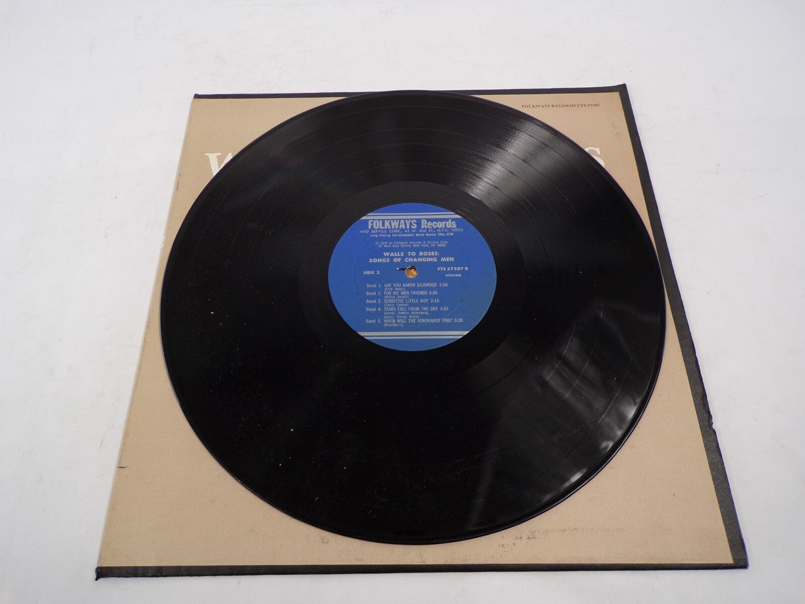 Walls To Roses Songs of Changing Men Gay Spirit Brothers Vinyl Records
