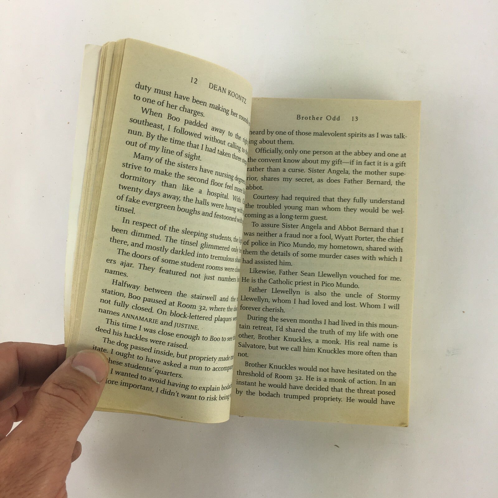 New York Times Bestseller Dean Koontz Brother Odd