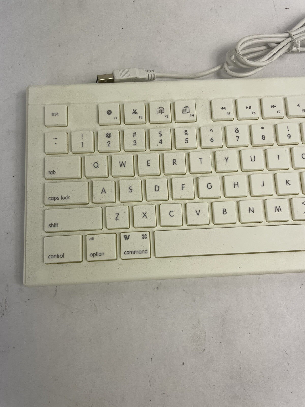 Macally Full Size USB Wired Keyboard (MKEYE) for Mac and PC (White)