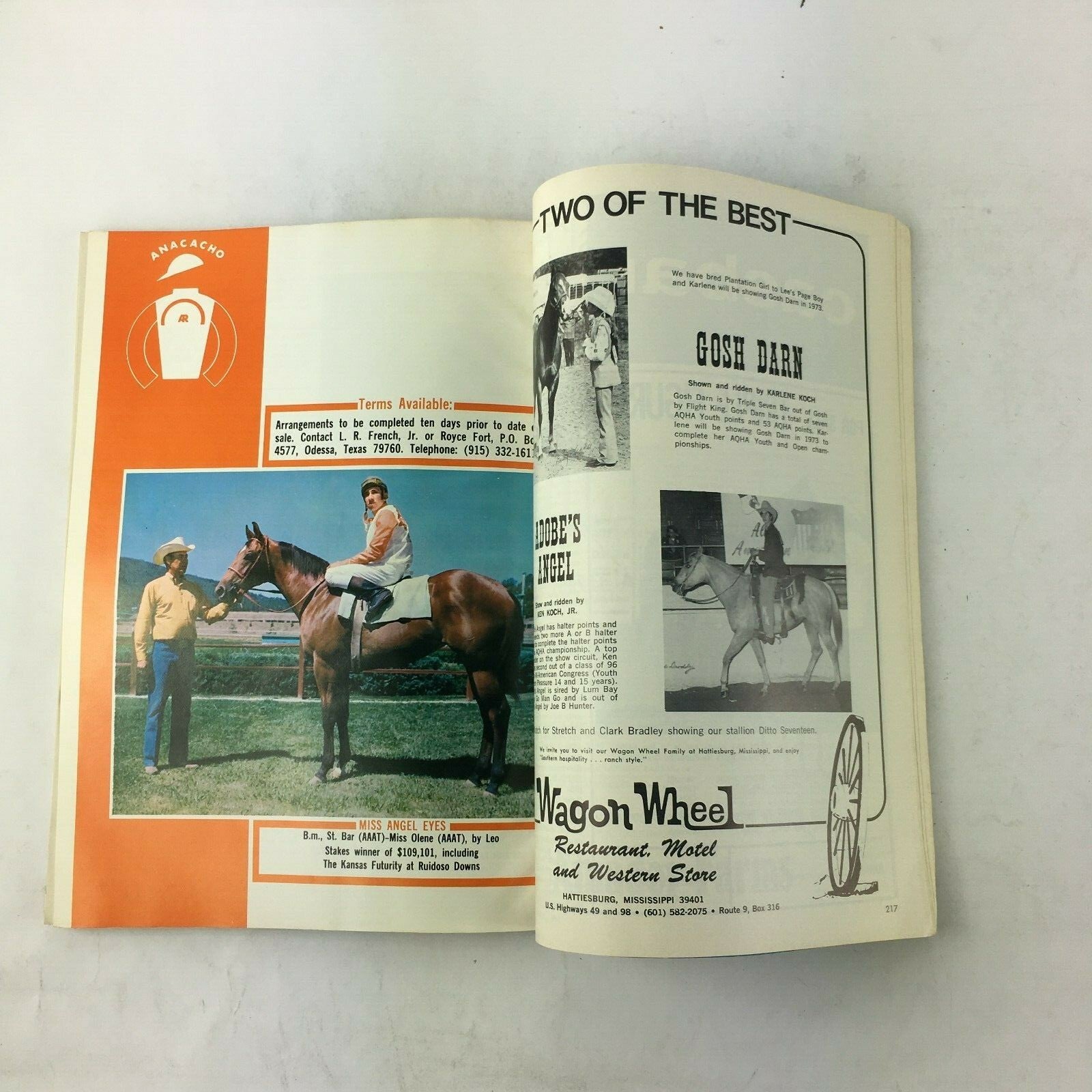 June 1973 The Quarter Horse Journal Magazine Annual Awards Dinner Steel Target