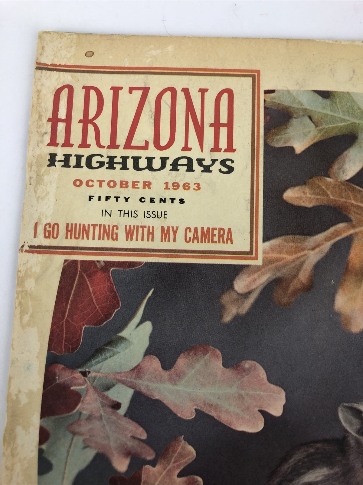 Arizona Highways Magazine : I Go Hunting with my Camera - October 1963 - LOOK