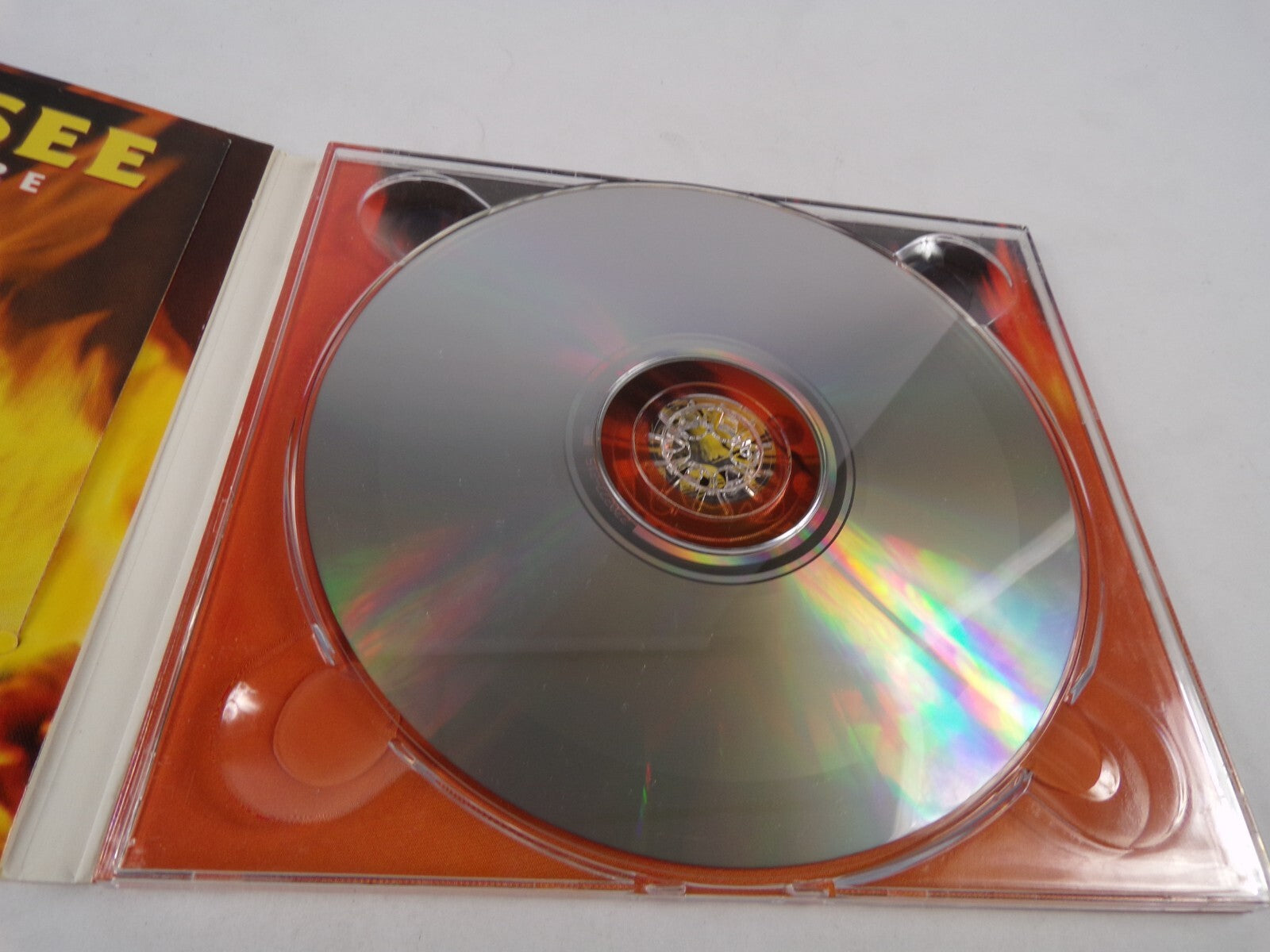 Tennessee Guitars On Fire Vagabond Tiger Rag Homeless Nevada CD#34