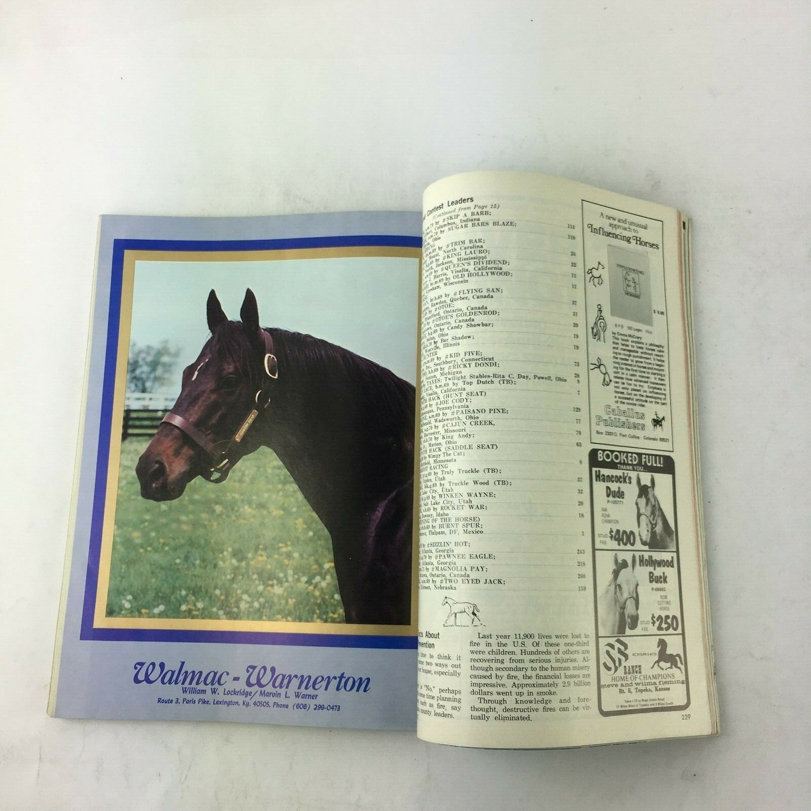November 1973 The Quarter Horse Journal Magazine The American Quarter Horse