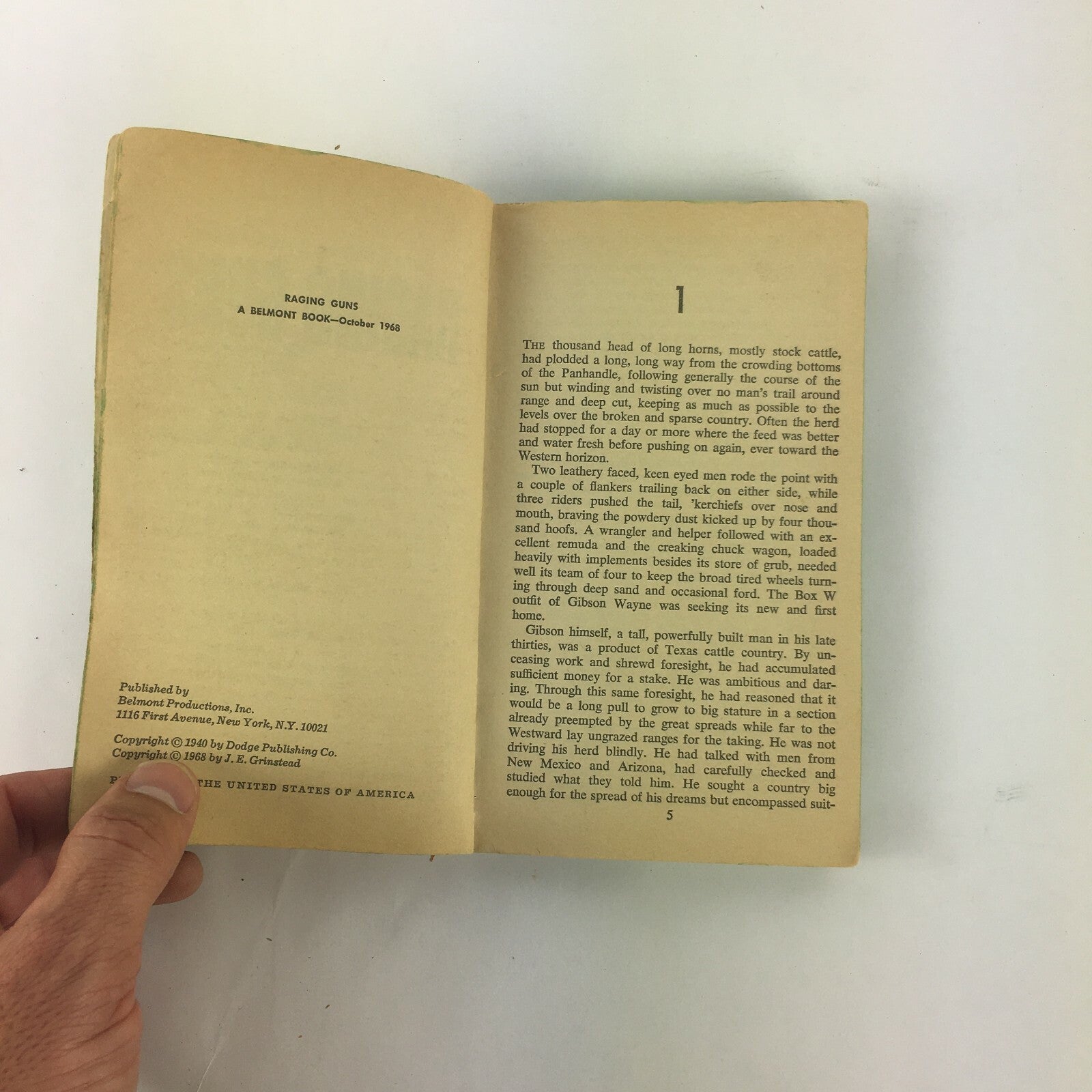 A Belmont Western Raging Guns J.E.Grinstead