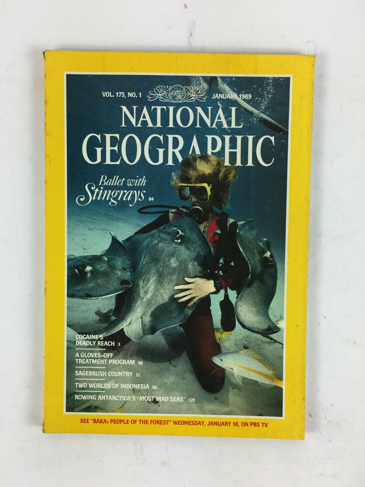 January 1989 NationalGeographic Magazine Ballet with Stingrays Sagebrush Country
