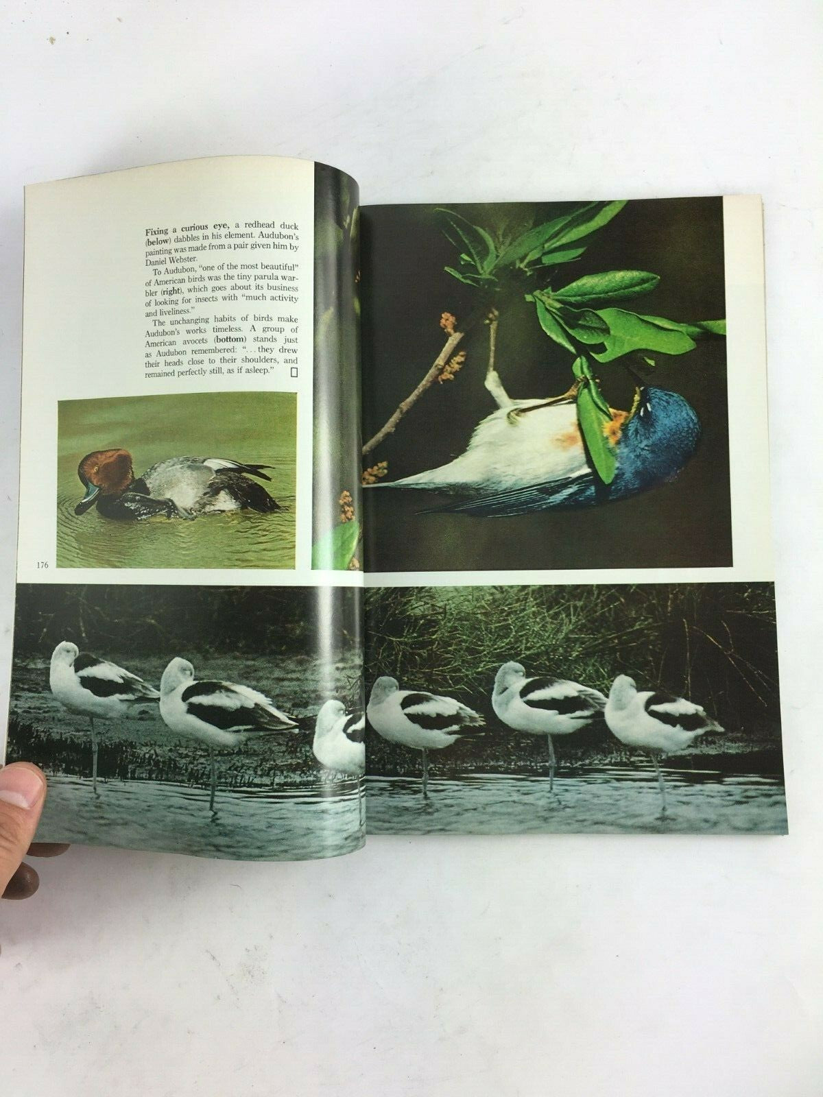 February 1977 National Geographic Magazine Longest Manned Balloon Flight Audubon