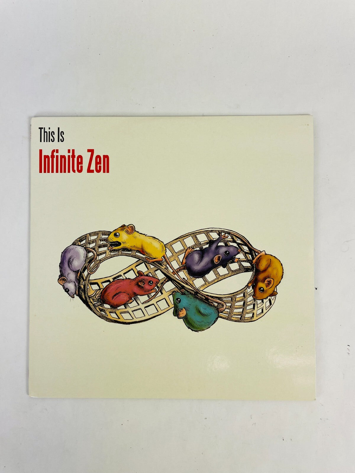 This Is Infinite Zen Vinyl Record