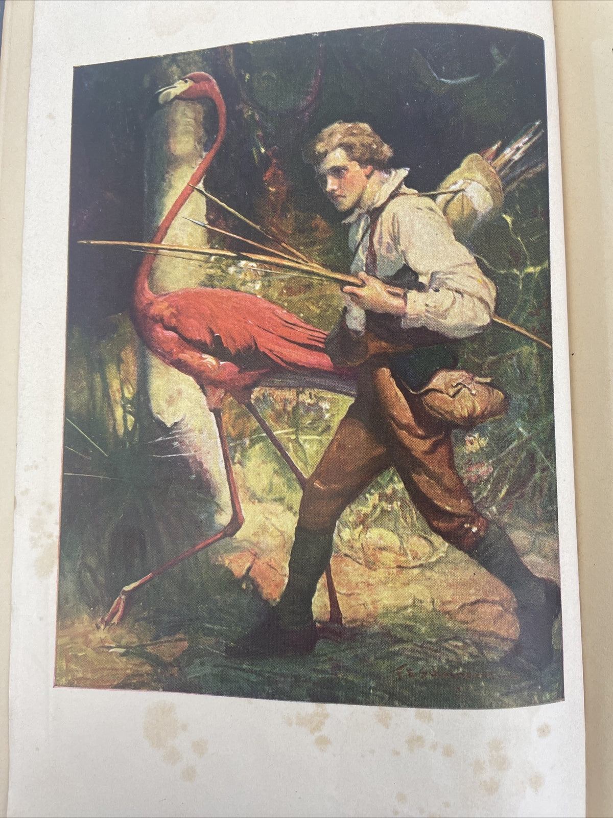 THE SWISS FAMILY ROBINSON  BY David Wyss Illustrated by Louis Rhead - 1909 VTG