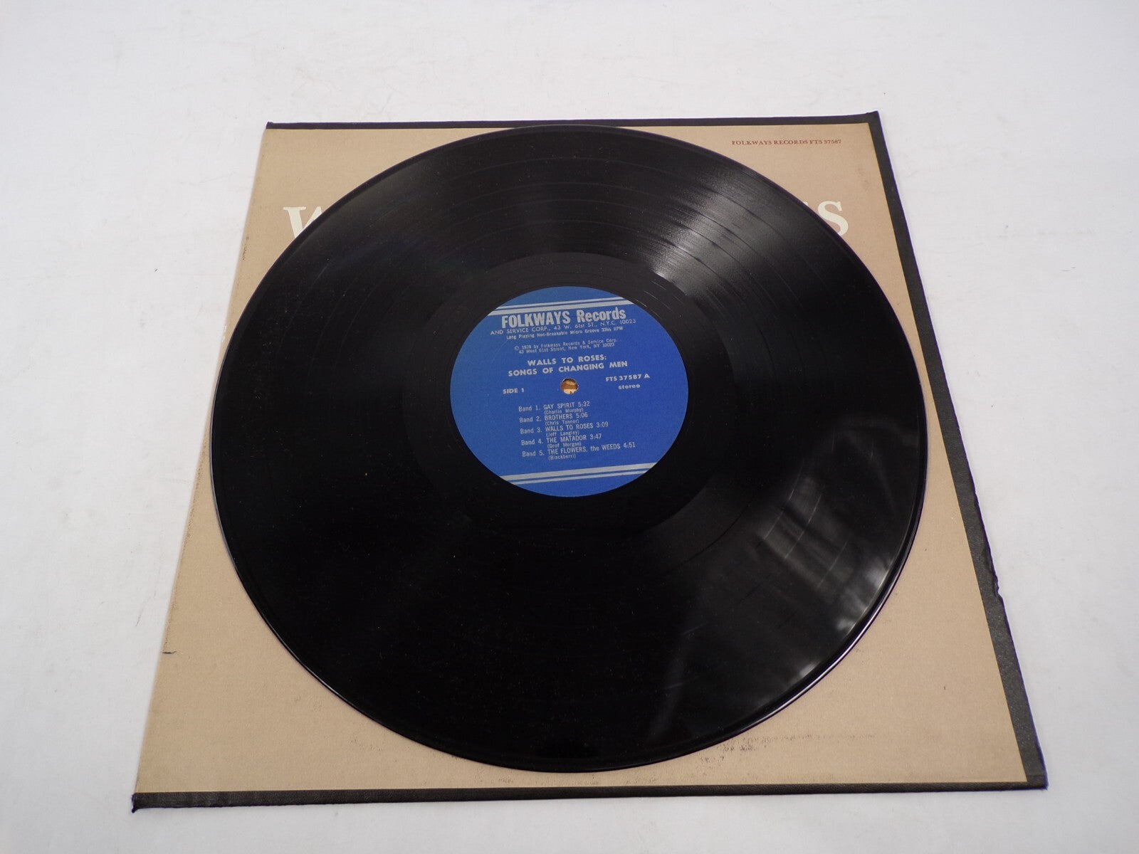 Walls To Roses Songs of Changing Men Gay Spirit Brothers Vinyl Records