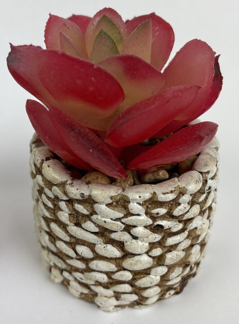 4 x Karlliu Artificial Plants Mini Succulent Flowers in Ceramic Pot Small Fake
