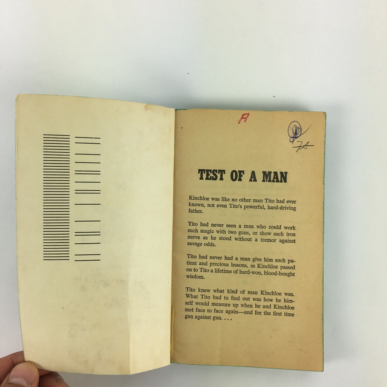 The Stanton Saga Vol.4 Patron Tom W.Blackburn