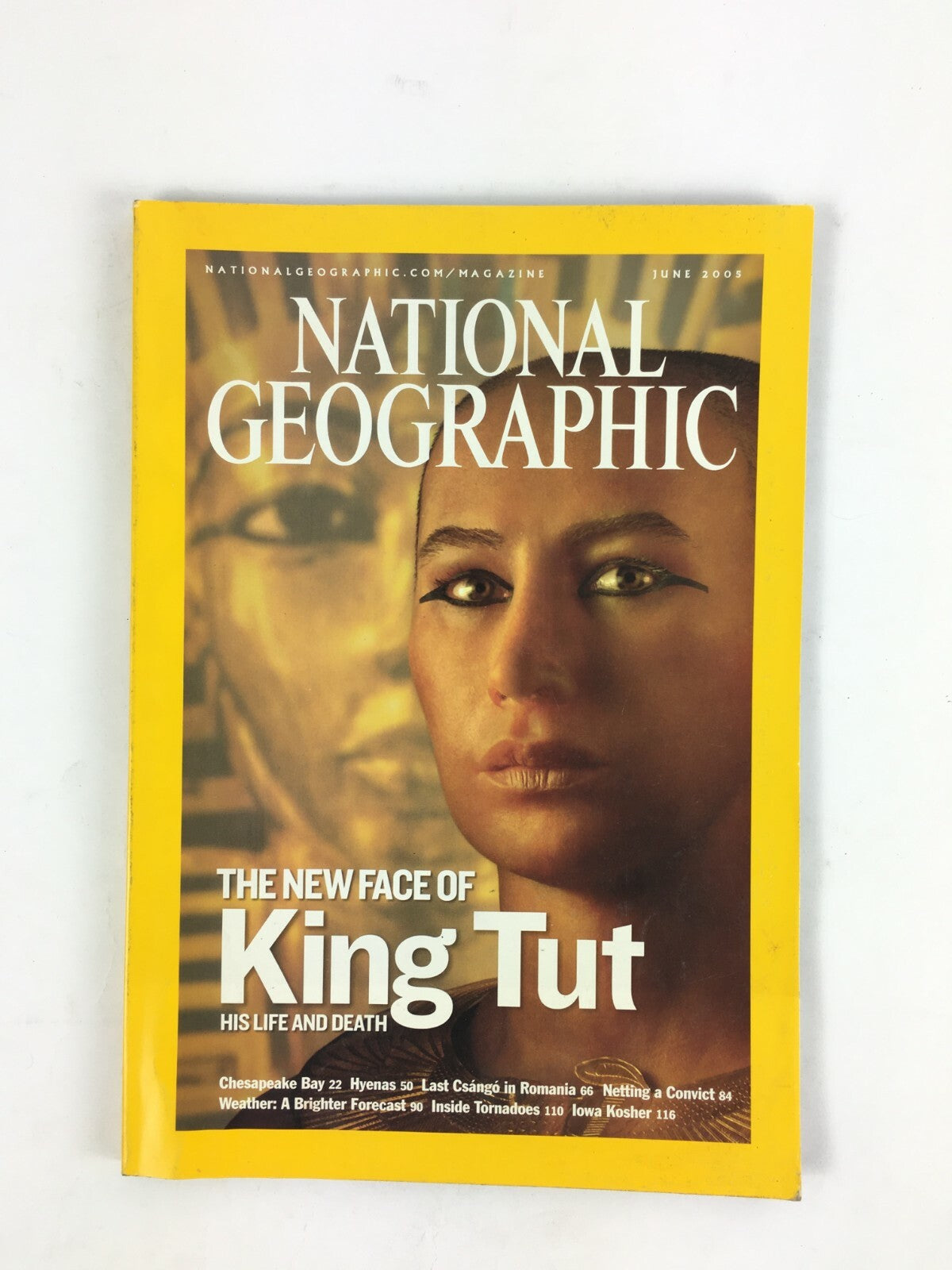 June 2005 NationalGeographic Magazine Poison The New Face of King Tut Life&Death