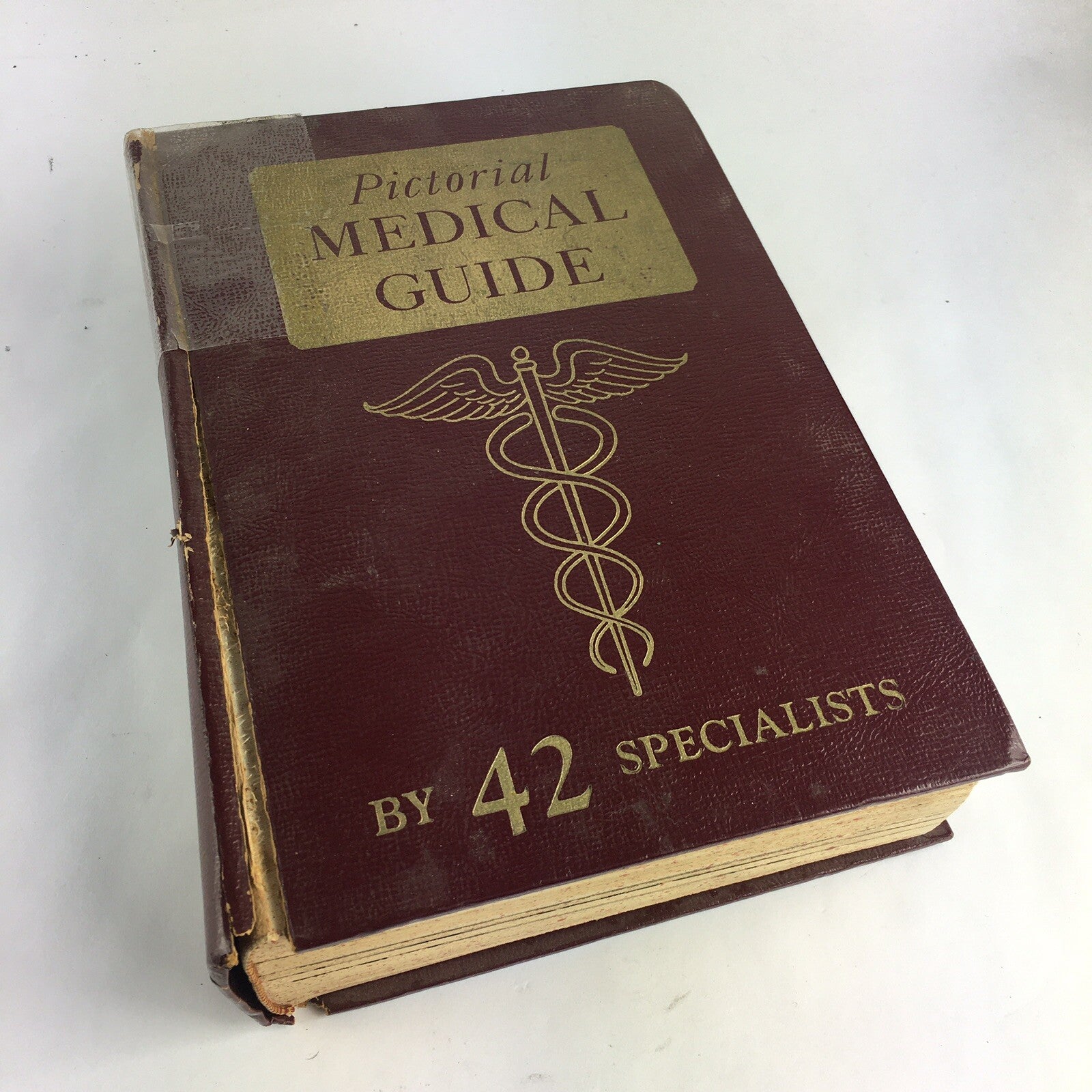 Pictorial Medical Guide by Fourty-two Leading Specialists (1957, Hardcover) 42