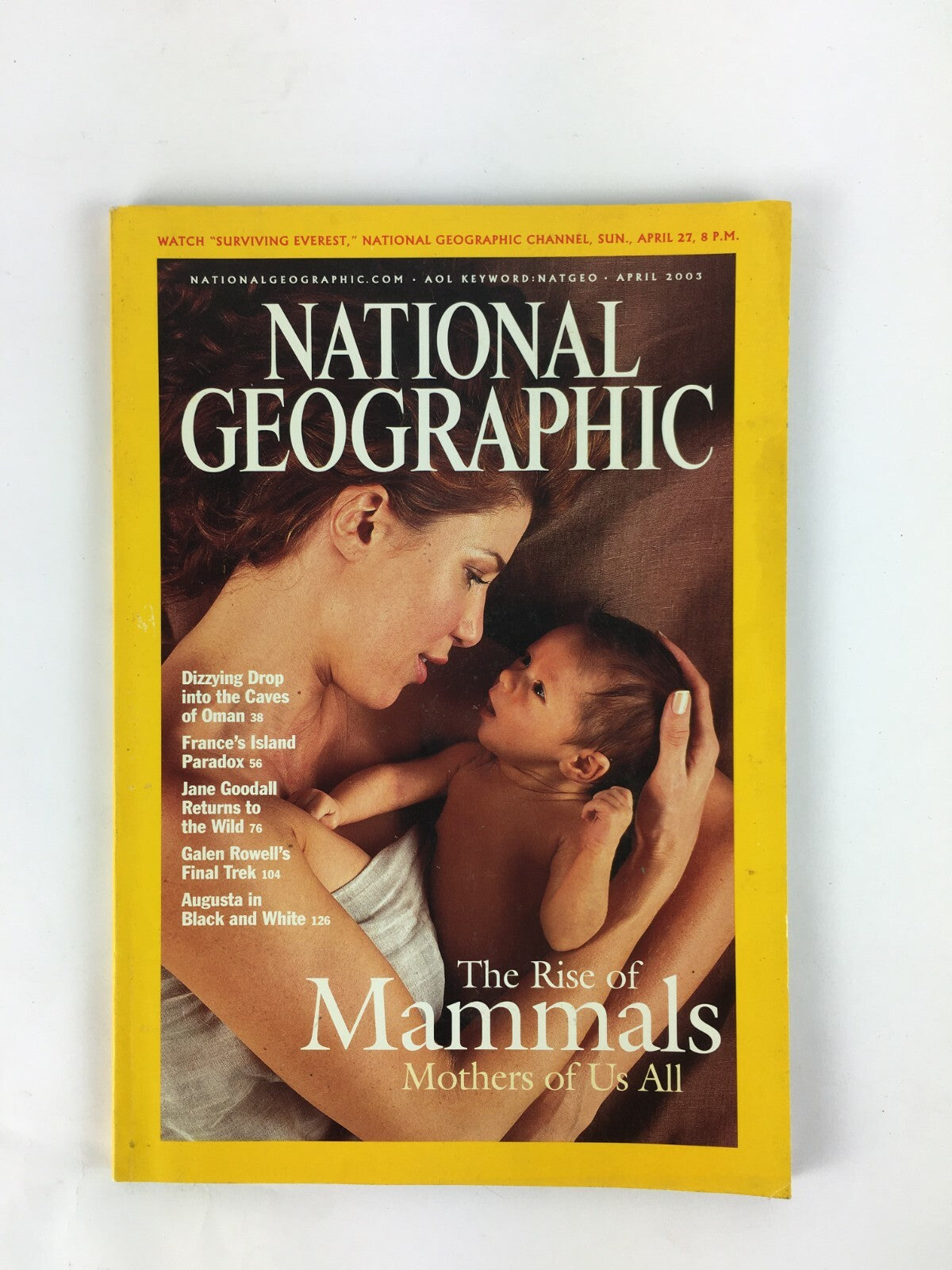 April 2003 National Geographic Magazine The Rise of Mammals Mothers of Us All