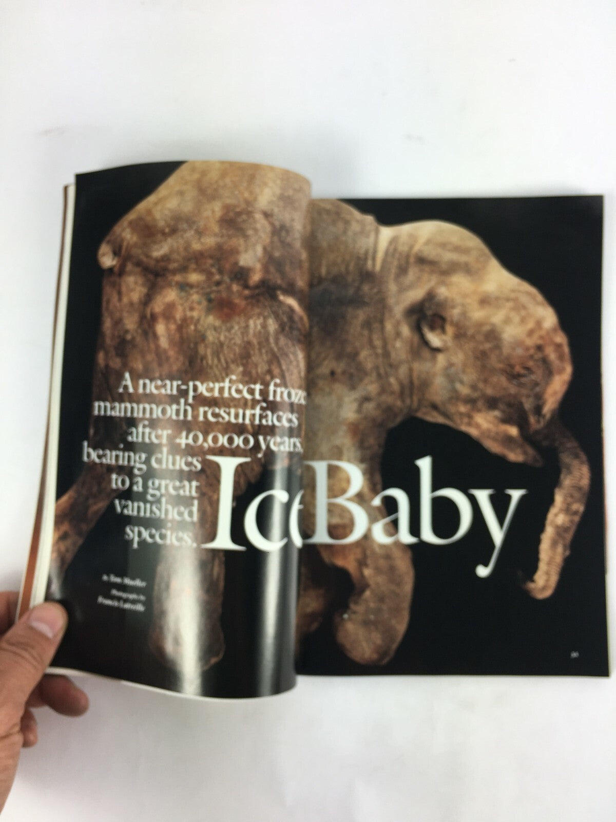 May 2009 National Geographic Magazine Ice Baby Secrets of a Frozen Mammoth