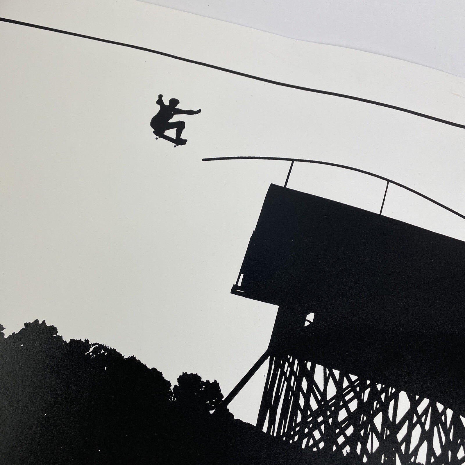 The Skateboard Mag 10th Annaversary Danny Way Silk Screened Poster #69 of 500