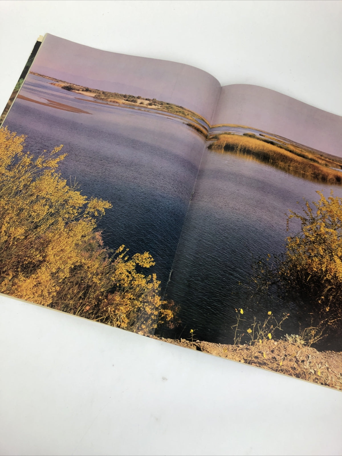 Arizona Highways Magazine : I Go Hunting with my Camera - October 1963 - LOOK