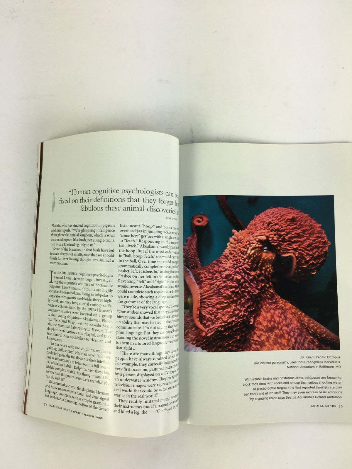 March 2008 National Geographic Magazine Inside Animal Minds Birds Apes Dolphins