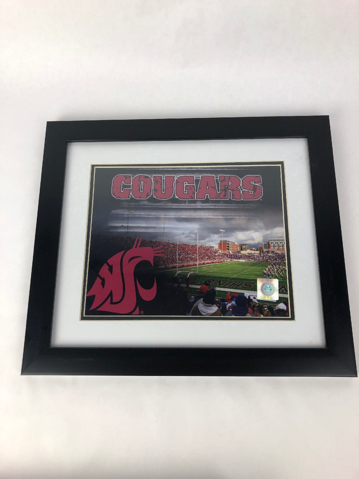 WC Washington Cougars Officially Licensed Framed Matted Stadium Photo Picture