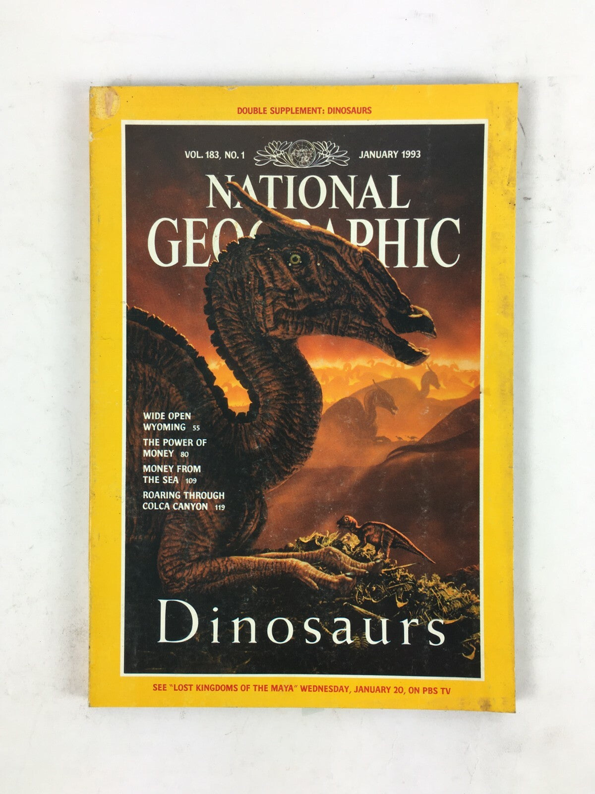 January 1993 National Geographic Magazine Dinosaurs WideOpen Wyoming ColcaCanyon