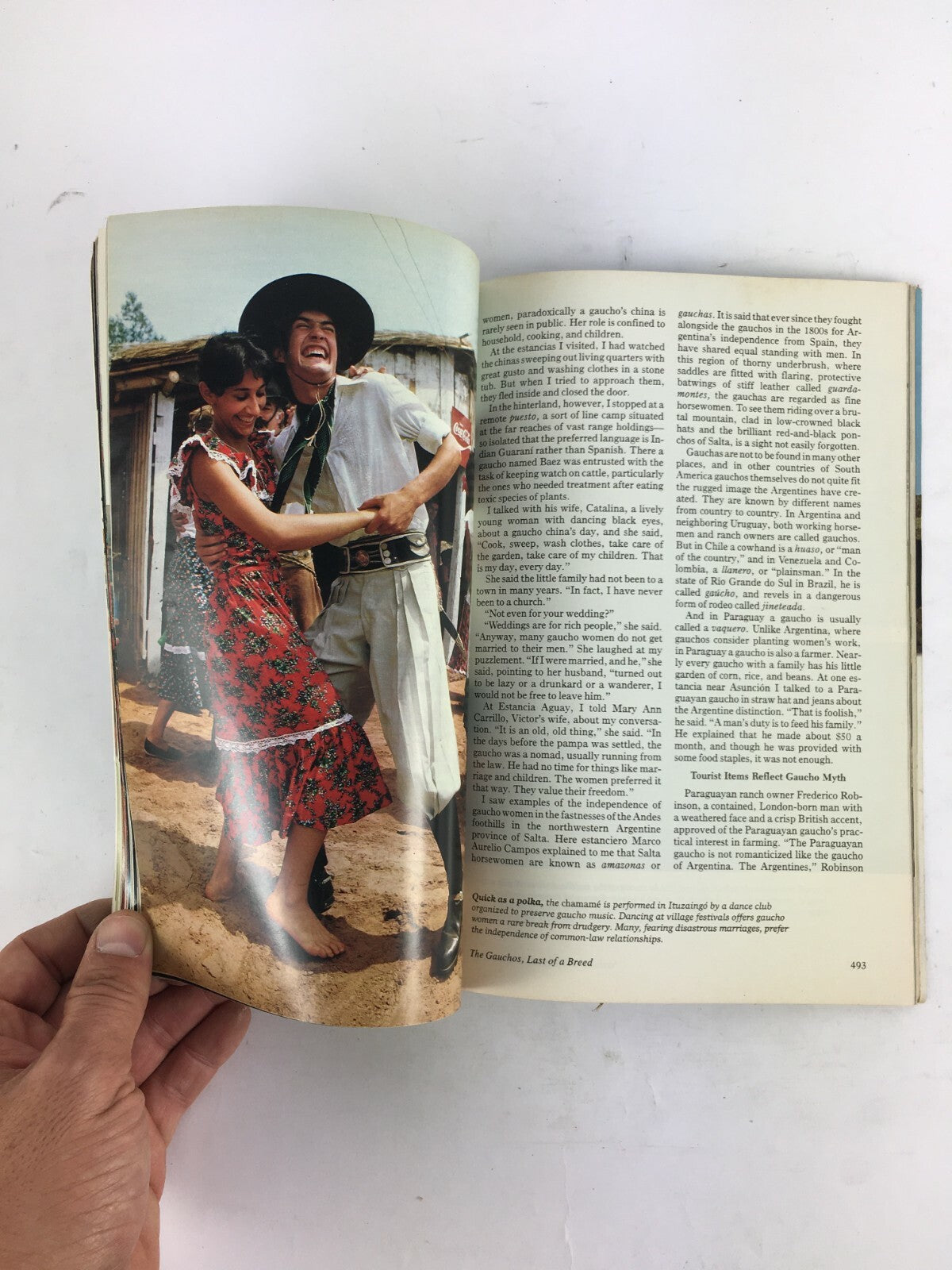 October 1980 National Geographic Magazine Bamboo The Giant Grass Gauchos Albania