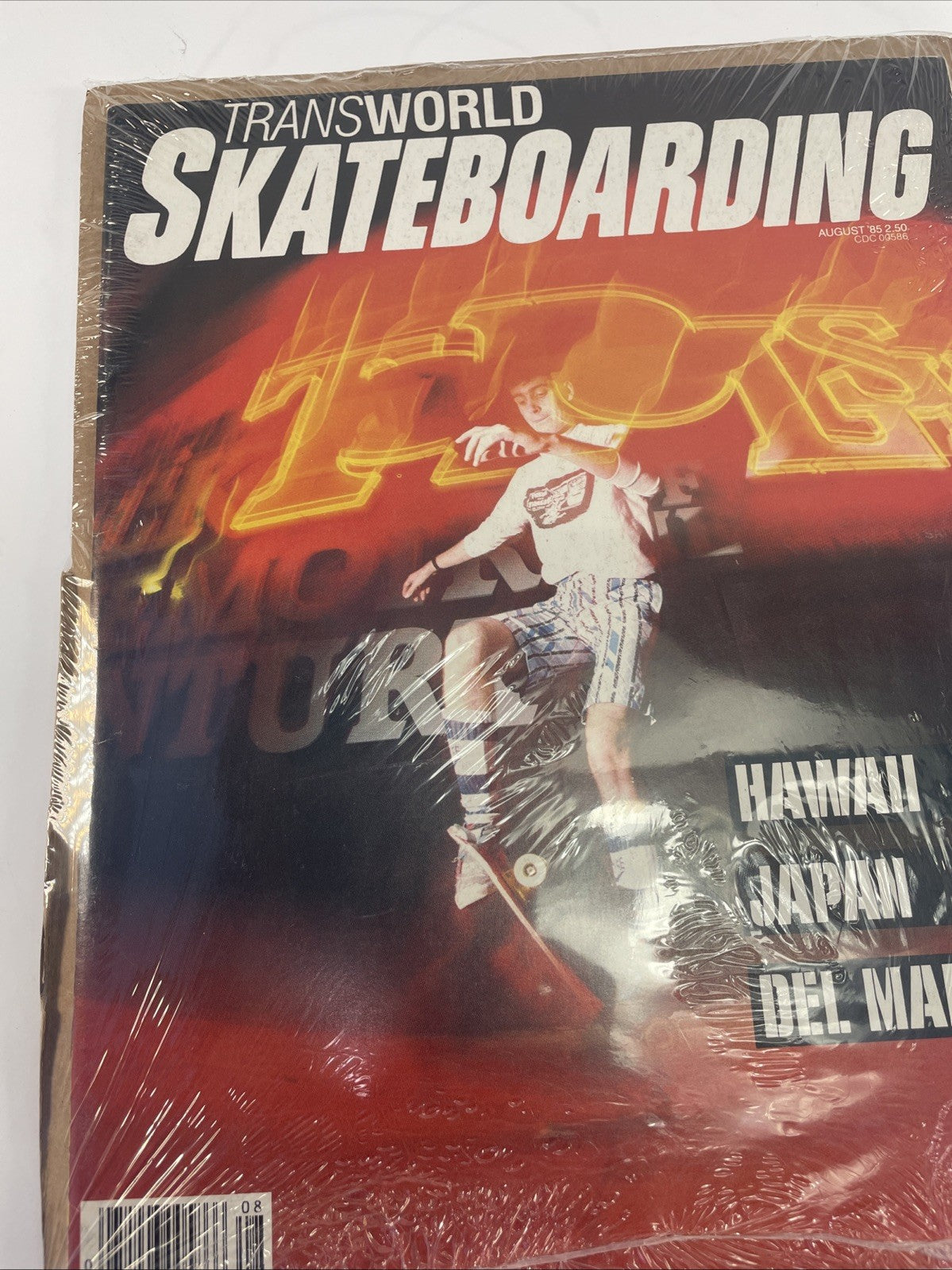 TRANSWORLD SKATEBOARDING MAGAZINE August 1985 Paul Sumnan The Godoys 8/85 aug