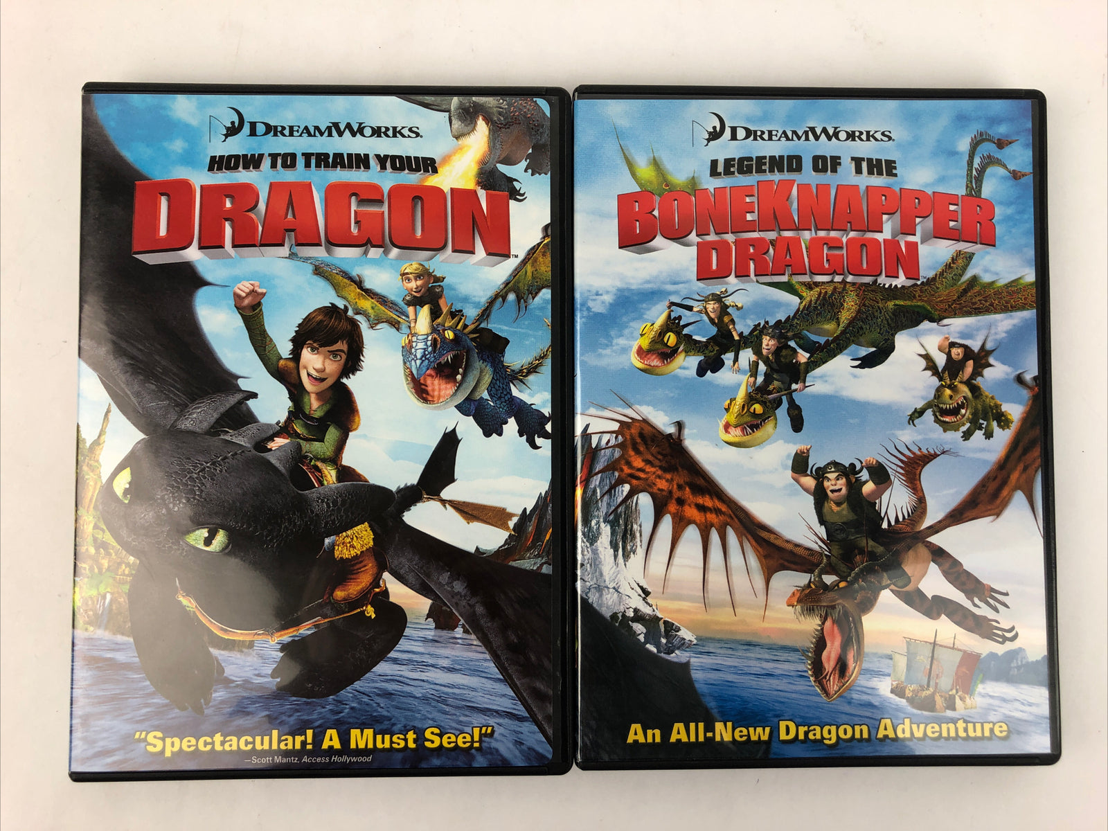 How to Train Your Dragon, Legend of the Boneknapper Dragon DVD, 2010 Mint Discs