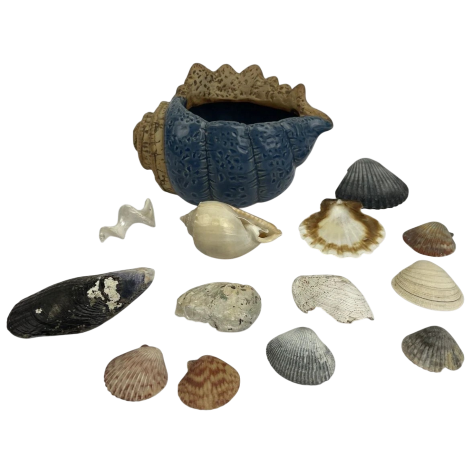 Sea Shell Blue Ceramic Planting Pot Succulent Planter Garden w Sea Shells Cali