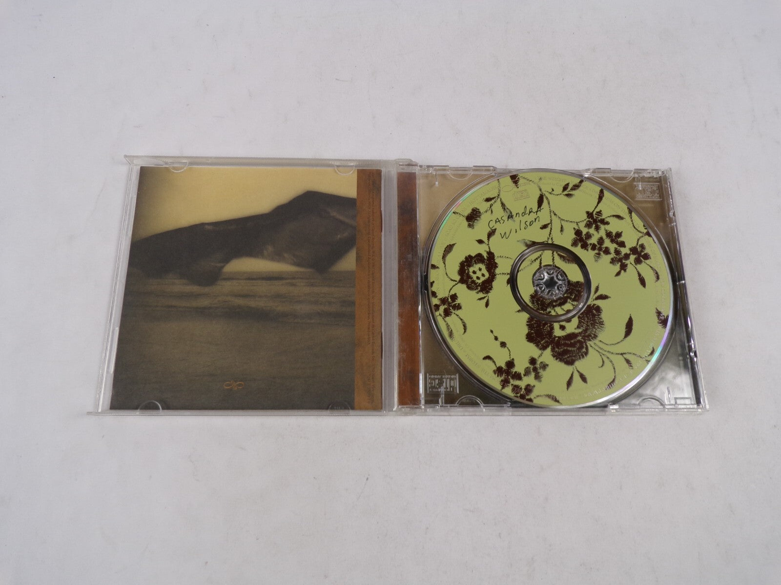 Cassandra Wilson Belly Of The Sun The Weight Justice Darkness On The Delta CD#53