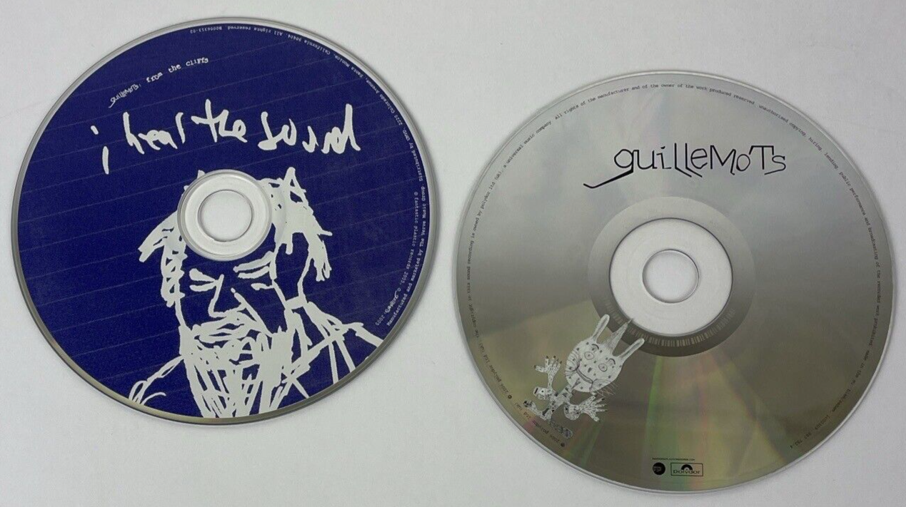 2 x GUILLEMOTS "THROUGH THE WINDOWPANE" CD + From the Cliffs, I hear the Sound