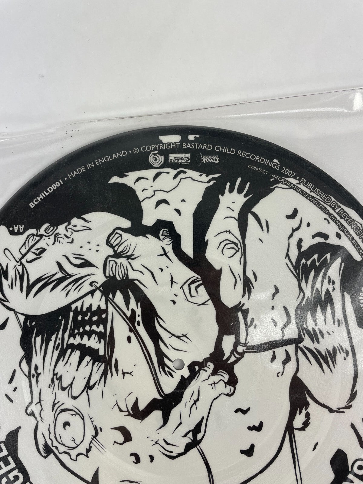 Dylan & Skitty Disguised As An Angel of Light Vinyl Record