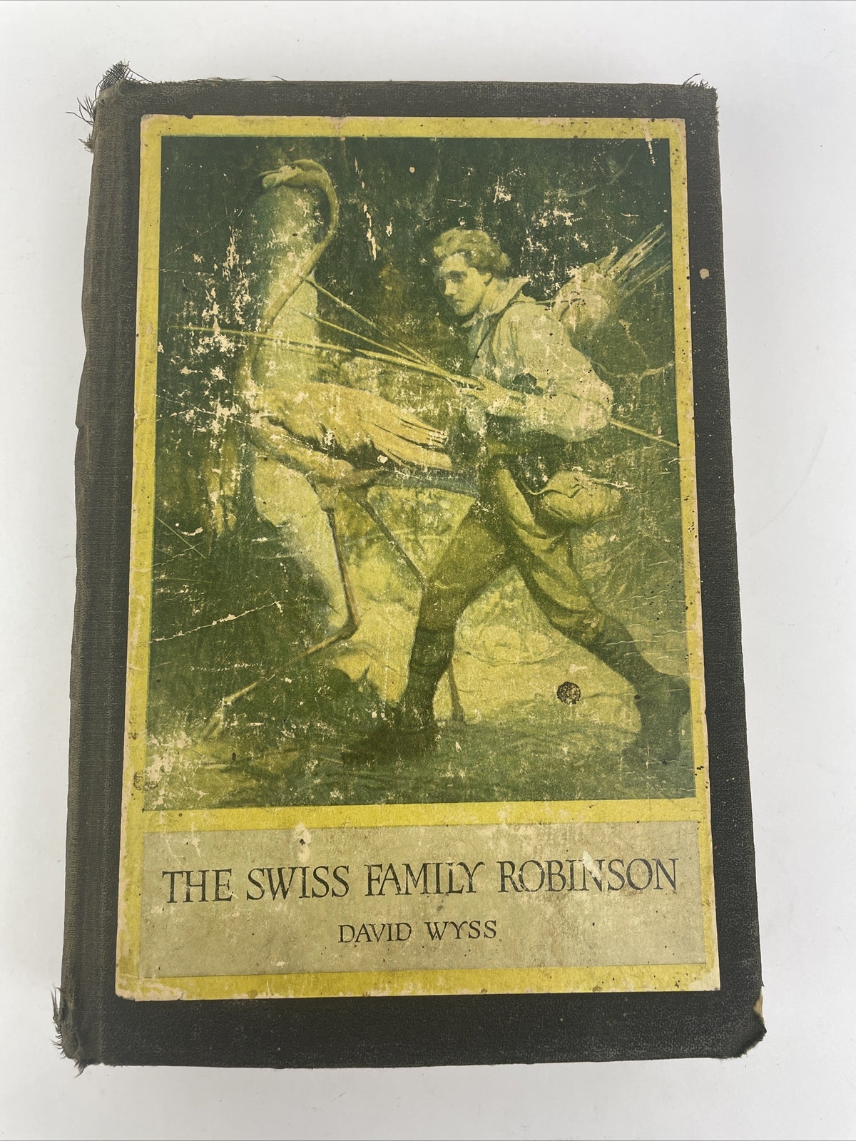 THE SWISS FAMILY ROBINSON  BY David Wyss Illustrated by Louis Rhead - 1909 VTG
