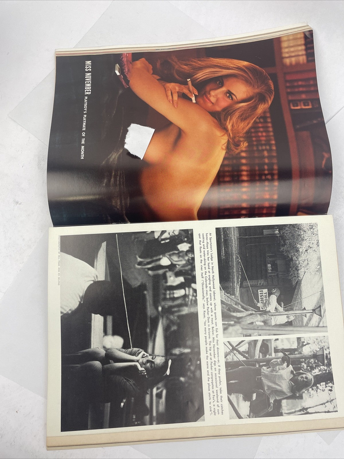 Playboy Magazine November 1967 Michelangelo Antonioni Interview Kaya Christian