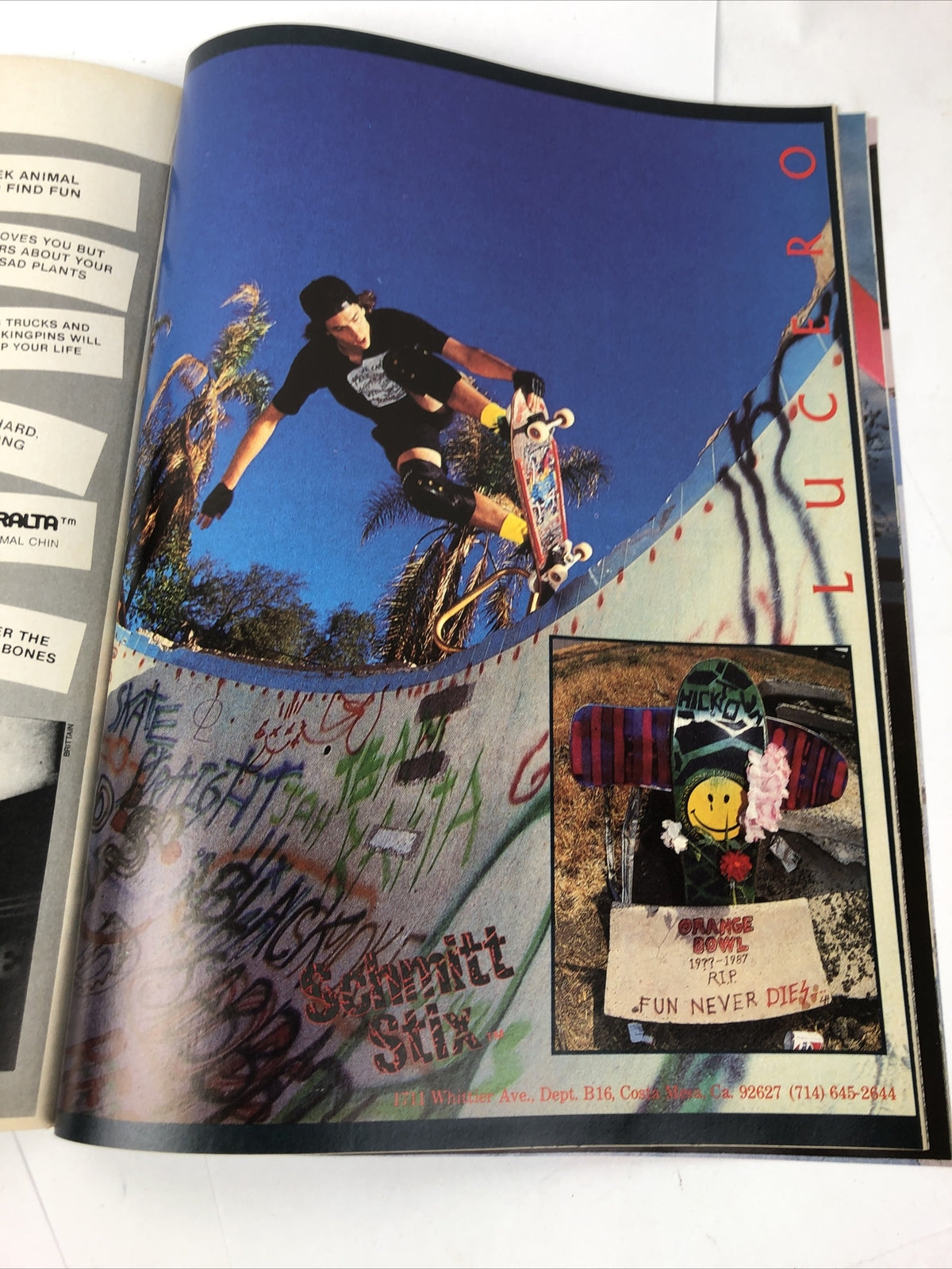Transworld Skateboarding Magazine October 1987 Volume 5 with Mark Gator Rogowski cover.