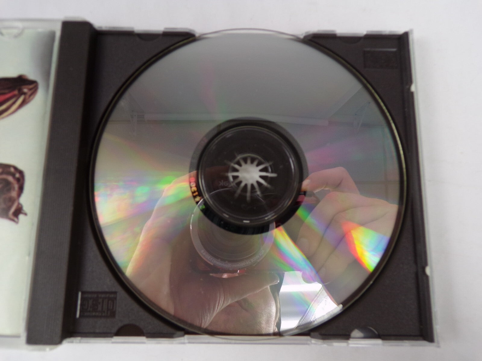 0898 The Beautiful South Old Red Eyes Is Back CD #19
