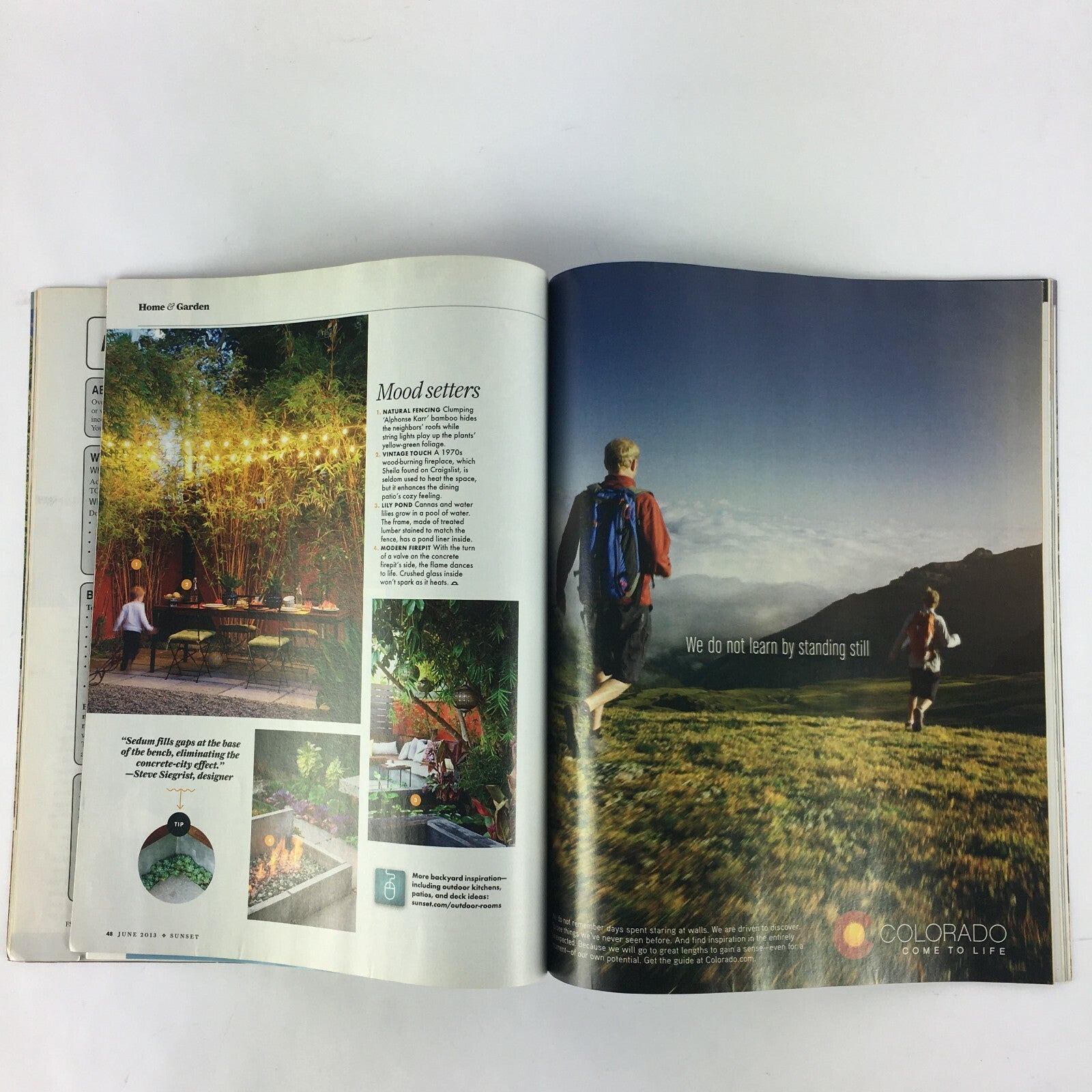 June 2013 Sunset Magazine the Grand Canyon The Backyard Makeover Fruit Popsicles