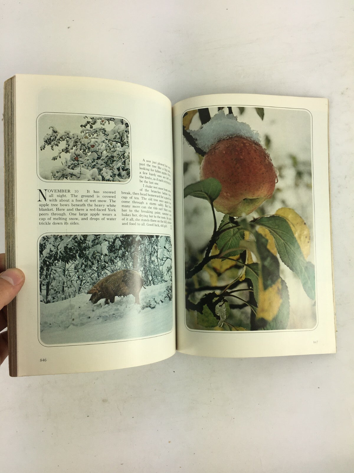 June 1972 National Geographic Magazine Fragile Nurseries of the Sea Aphrodisias