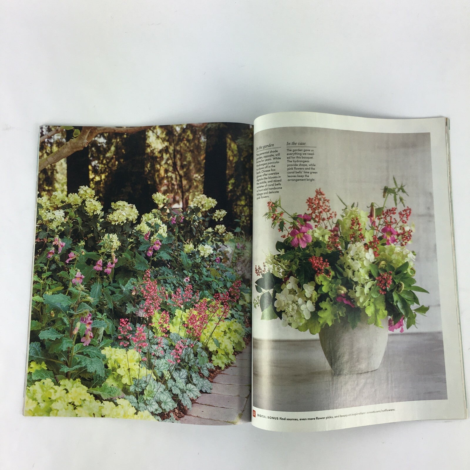 March 2015 Sunset Magazine Fabulous Flowers to Plant Now Garden Plants Diy Bacon