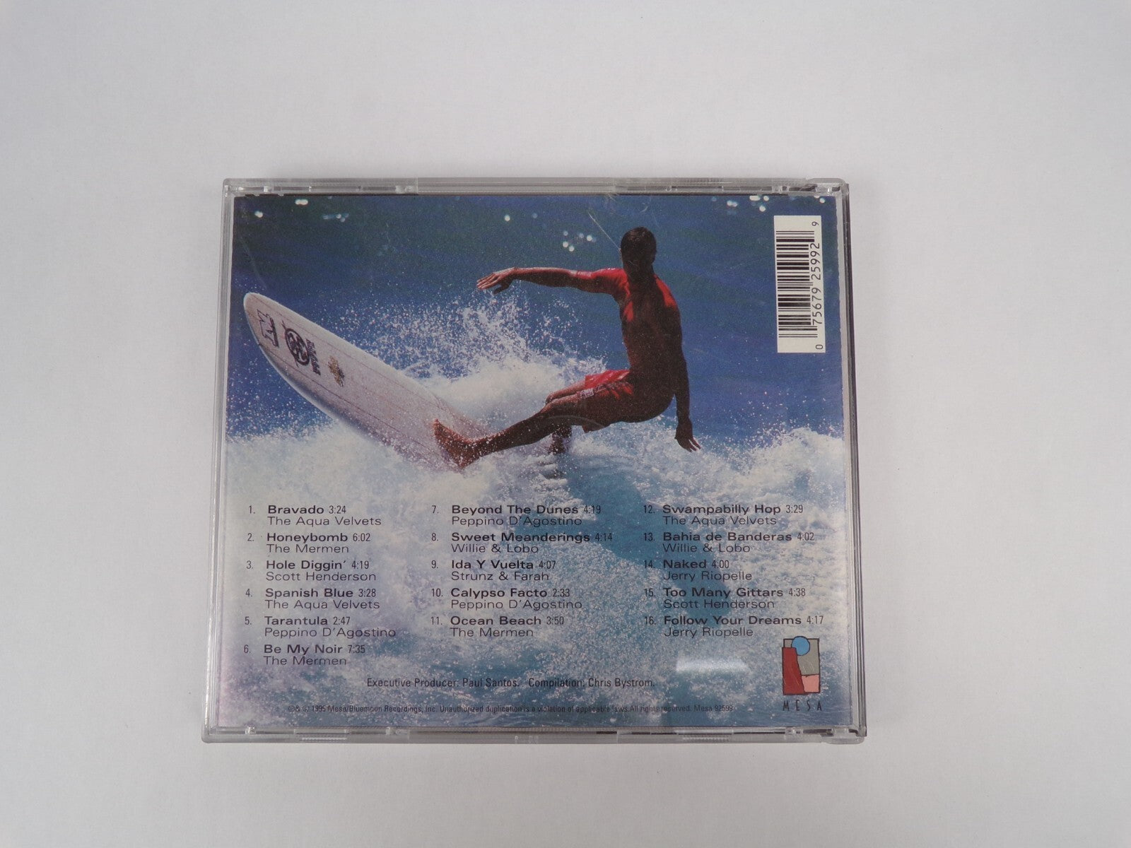 A Chris By Storm Film Blazing LongBoards CD #11