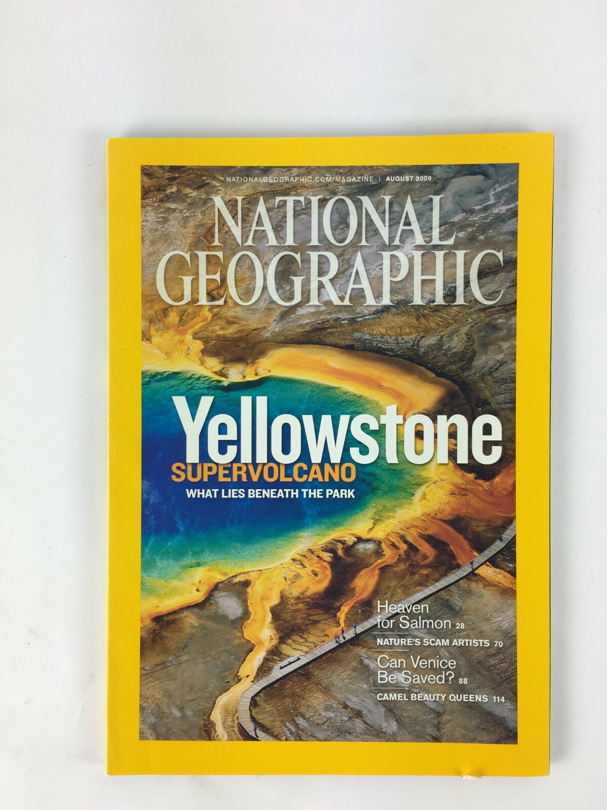 August 2009 National Geographic Magazine Yellow Stone Super Volcano Camel Beauty