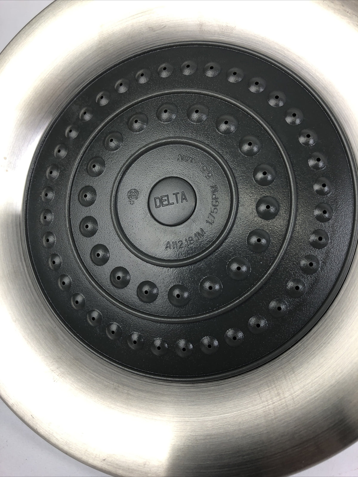 Delta 1.75 GPM Single Function Rain Shower Head with Extension