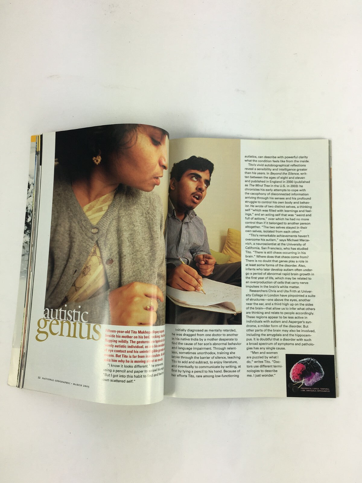 March 2005 National Geographic Magazine What's in your mind The Park Maker