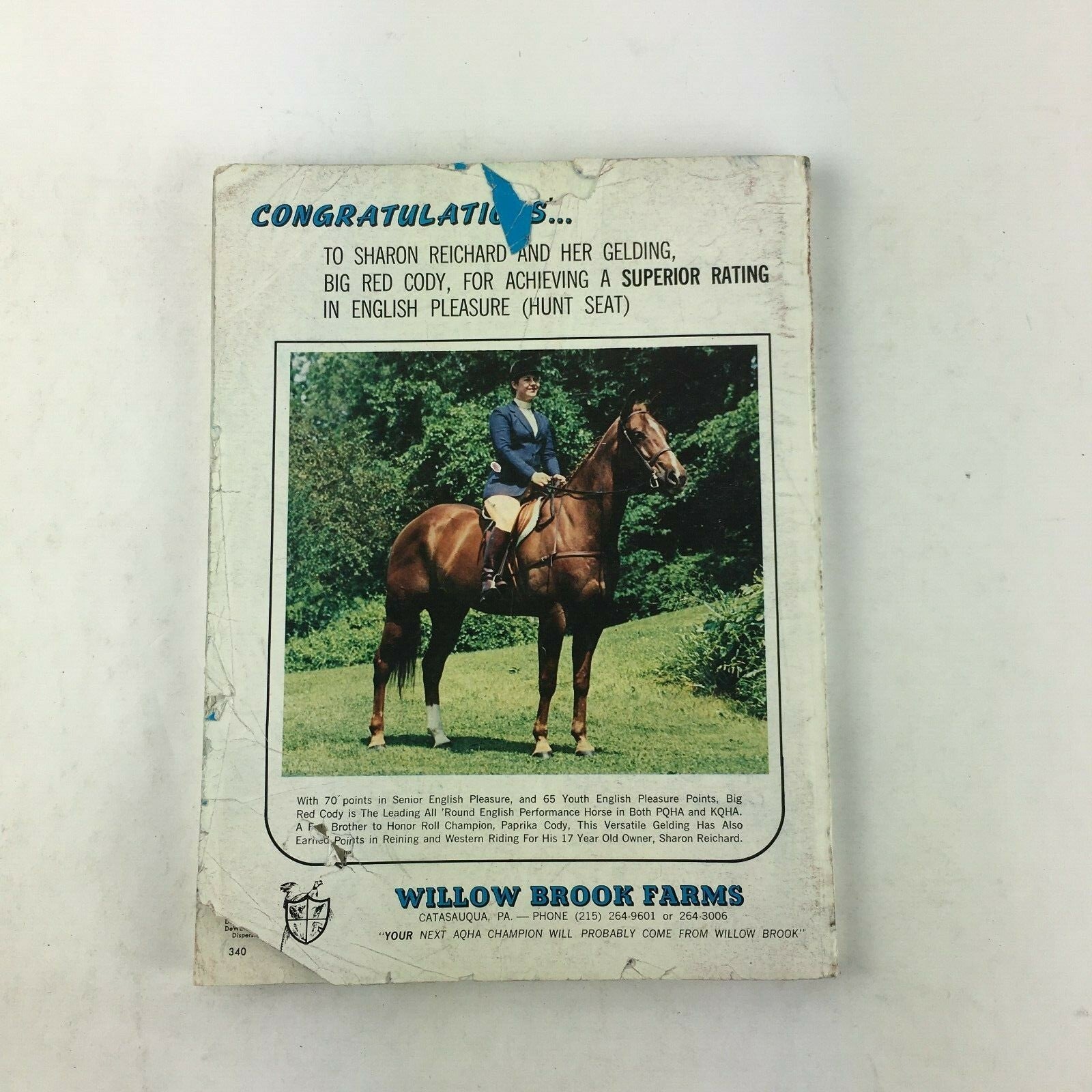 November 1973 The Quarter Horse Journal Magazine The American Quarter Horse