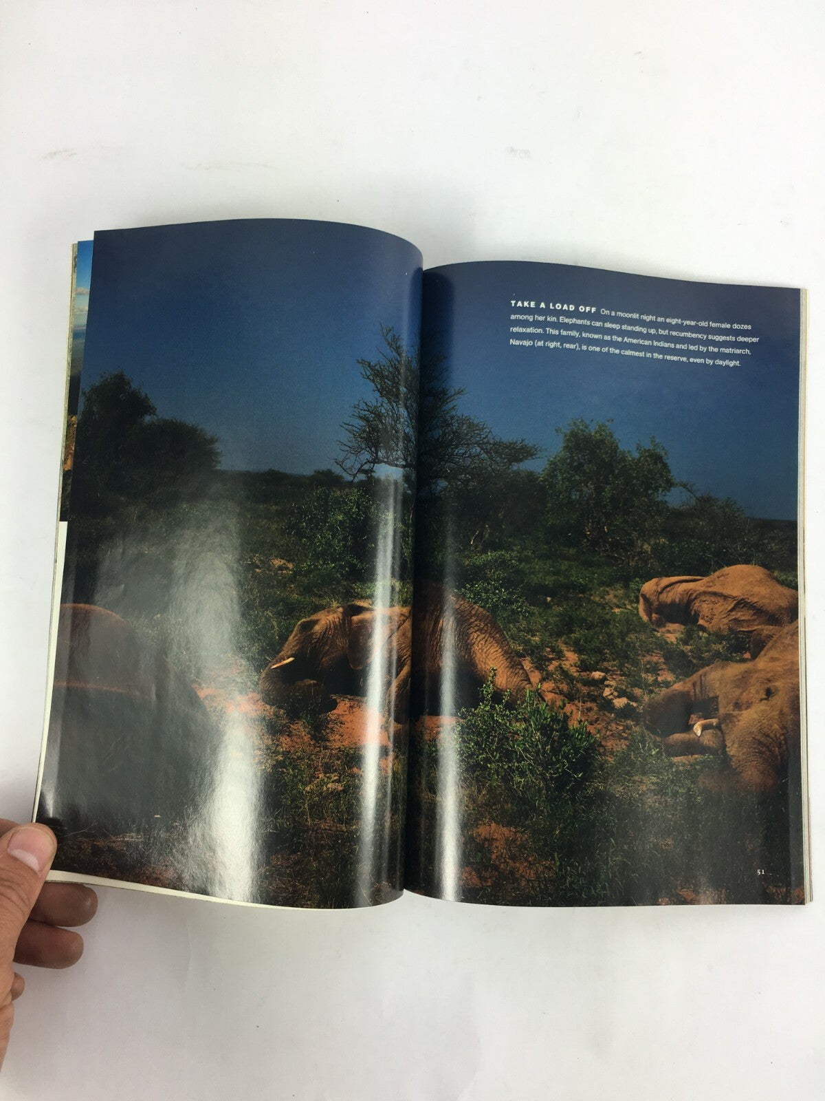 September 2008 National Geographic Magazine Where Food Begins The Green Sahara