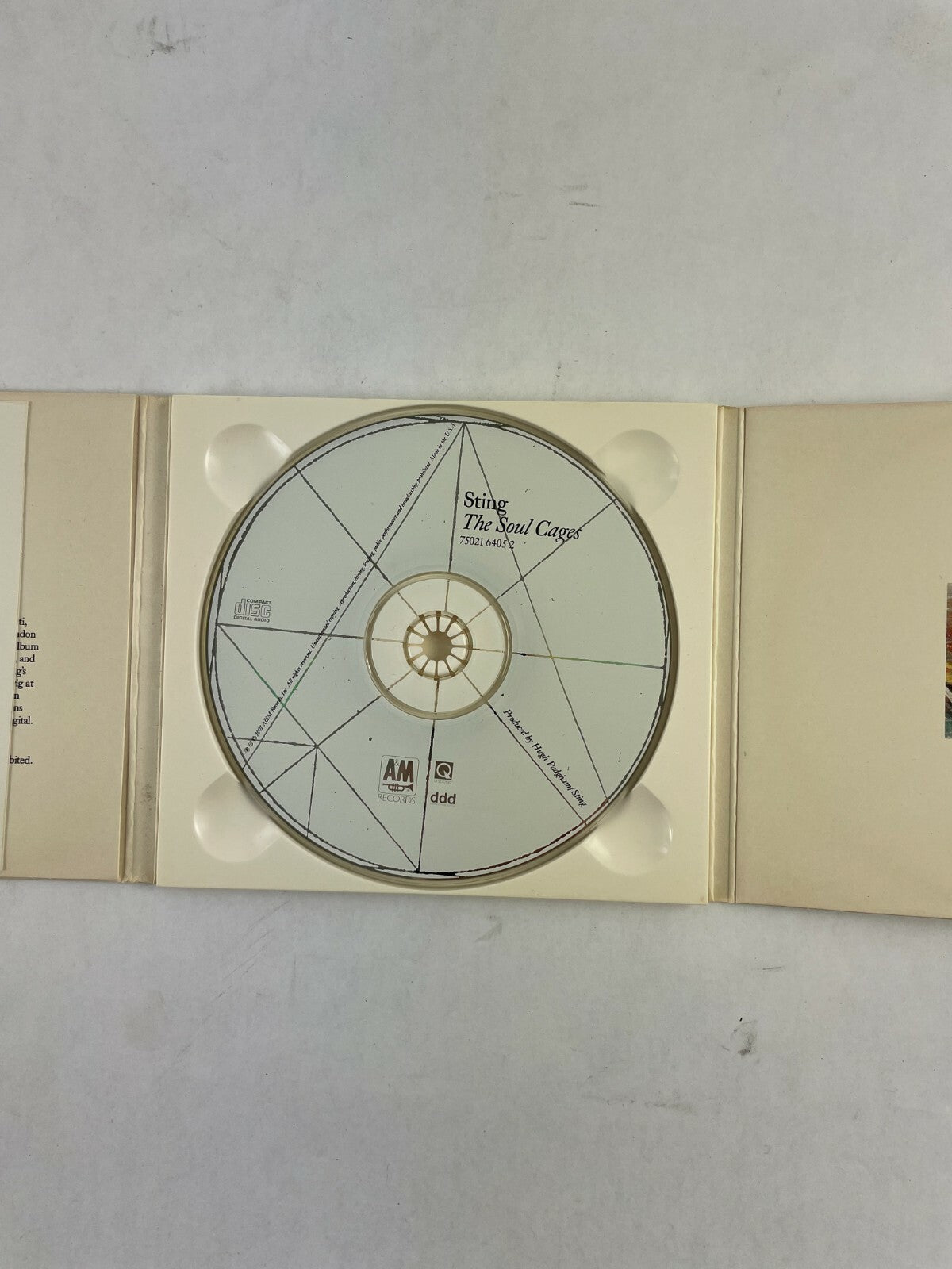 Sting The Soul Cages Hugh Padghum Sting CD Q3